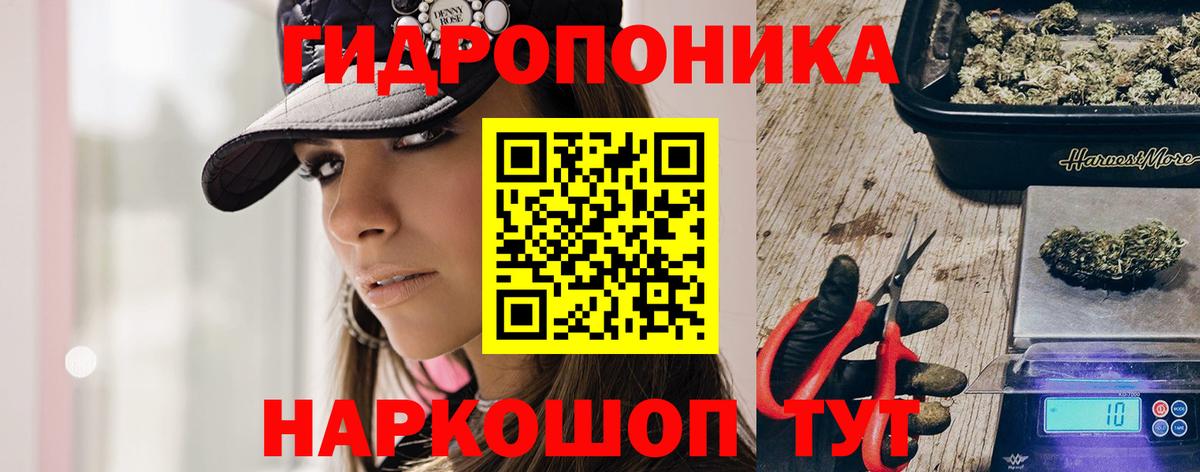 Прокопьевск  Каннабис AK-47  Бошки Шишки план  Канабис марихуана  Вход с VPN 